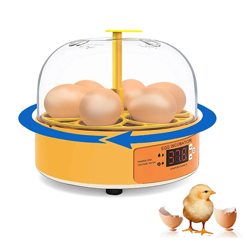 Lab Incubator - Incubatrice Automatica per Uova di Pollo,