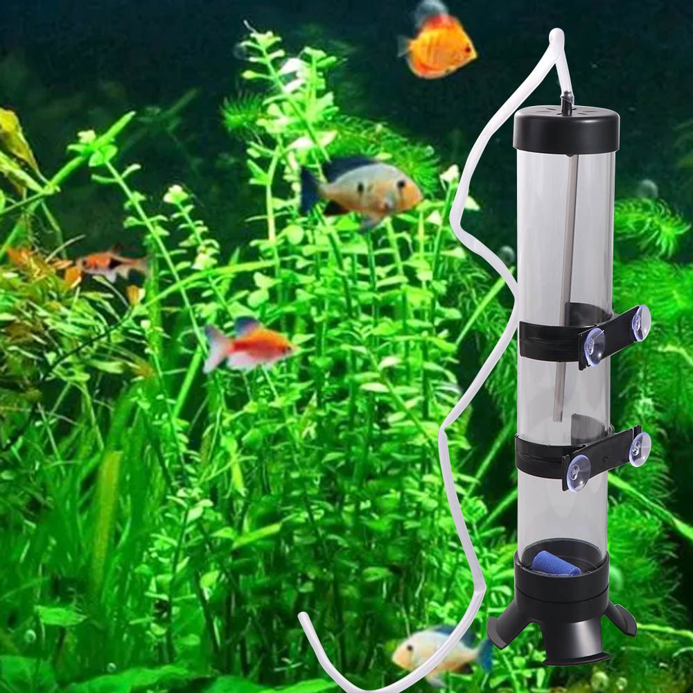 Incubatrice per uova di Artemi - Lab Incubator recensione e prezzo