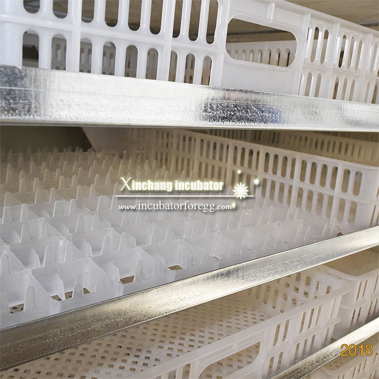 Incubatrici per uova di gallin - Lab Incubator recensione e prezzo